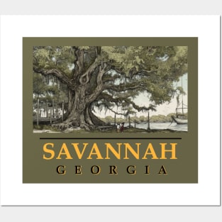 Savannah Live Oak Posters and Art